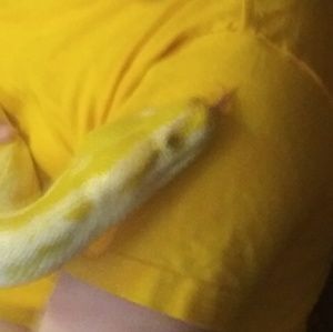 Meet your Posher, Kaci